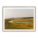 WHERE THE BUFFALO ROAM BY WESLEY AND EMMA TEAGUE