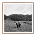 HIGHLANDER / ELK, CA BY WESLEY AND EMMA TEAGUE
