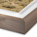 HIGH DESERT BY WESLEY AND EMMA TEAGUE