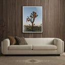 CAMP SUNRISE/JOSHUA TREE BY WESLEY AND EMMA TEAGUE
