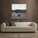 HIGHLANDER / ELK, CA BY WESLEY AND EMMA TEAGUE