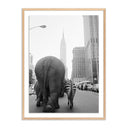 CIRCUS ANIMALS ON 33RD ST BY GETTY IMAGES