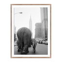 CIRCUS ANIMALS ON 33RD ST BY GETTY IMAGES