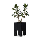 Tora Planter