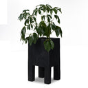 Tora Planter