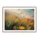 PRAIRIE I BY COUP D'ESPRIT