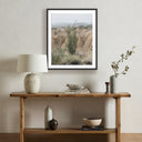 OCOTILLO BY MANDY STEINBACK