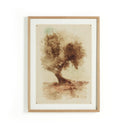 UNDONE CYPRESS BY COUP D'ESPRIT