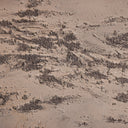 RETURN TO THE PASTURE BY TYLER GUINN