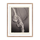 JELLIES 4 BY PLATINUM REVIVAL