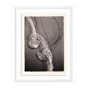 JELLIES 4 BY PLATINUM REVIVAL
