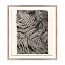 FERN BY PLATINUM REVIVAL