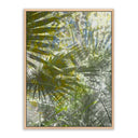 GOLDEN YEARS BY FOUNTAIN GRASS STUDIOS