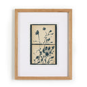 SUMMER WEEDS II BY SHAINA PAGE