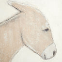 BURRO DIA BY PAUL MEYER
