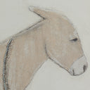 BURRO DIA BY PAUL MEYER