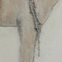 BURRO DIA BY PAUL MEYER
