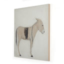 BURRO DIA BY PAUL MEYER