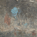 DEPOSITION BY PAUL MEYER