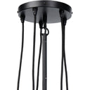 Webster Chandelier