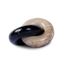 Petrified Wood Knot