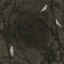 The Doves By Chelsea Fly