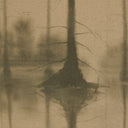 Reflection By Chelsea Fly