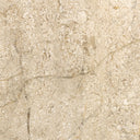 Astra Sconce