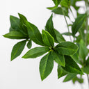 Faux Pieris Tree