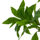 Faux Pieris Tree