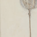 Poppy Crema By Paul Meyer