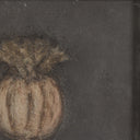 Poppy Noche By Paul Meyer