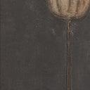 Poppy Noche By Paul Meyer