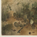 Flowing In A Dry Land By Aileen Fitzgerald