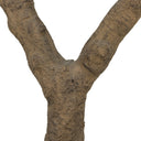 Faux Olive Tree Wide