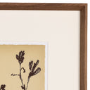 Meadow Rue Set By Shaina Page