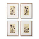 Meadow Rue Set By Shaina Page