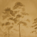 Amongst the Giants By Chelsea Fly