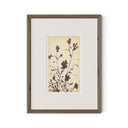 Meadow Rue No.3 By Shaina Page