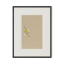 Botanical I By Brittany Smith