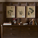 Petite Study Triptych By Hannah Winters
