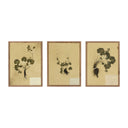 Petite Study Triptych By Hannah Winters