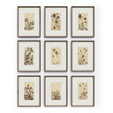 Wild Blooms Set By Shaina Page