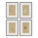Sprig Symphony Set By Brittany Smith