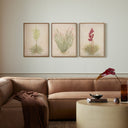 Desert Flora Triptych By Paul Meyer