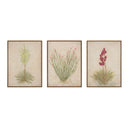 Desert Flora Triptych By Paul Meyer