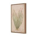 Desert Flora Triptych By Paul Meyer