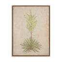 Desert Flora Triptych By Paul Meyer