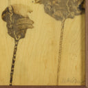Lutare Diptych By Kelly Rogers