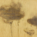 Lutare Diptych By Kelly Rogers